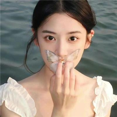 键盘猫